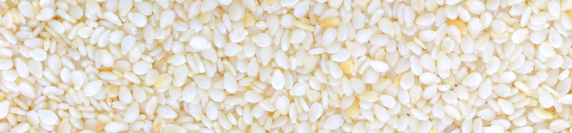 Sesame seeds — a popular tropical agricultural crop